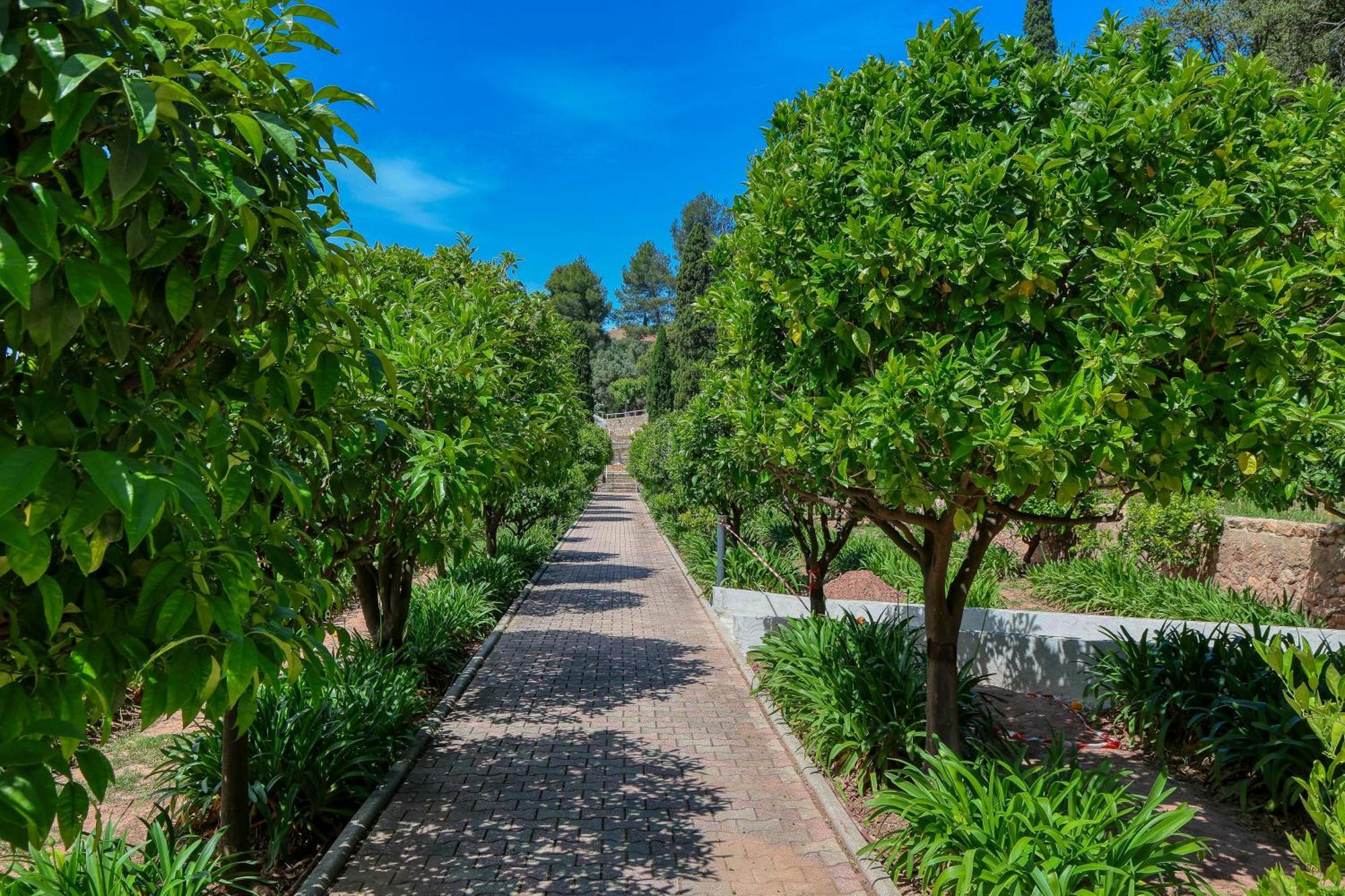 Domaine Des Gueules Cassees Otel La Valette-du-Var Dış mekan fotoğraf