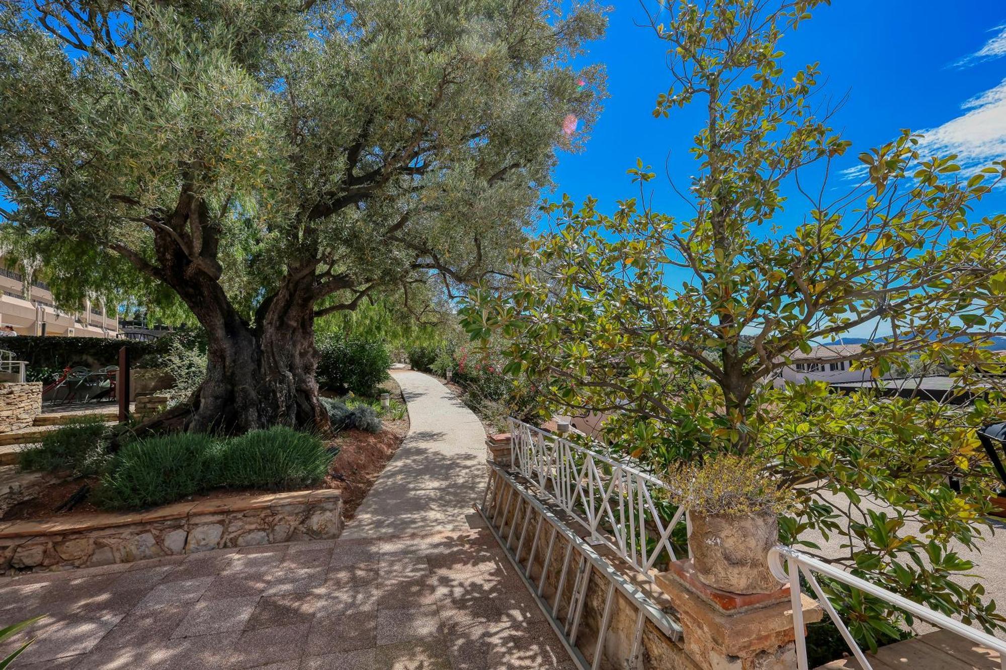 Domaine Des Gueules Cassees Otel La Valette-du-Var Dış mekan fotoğraf