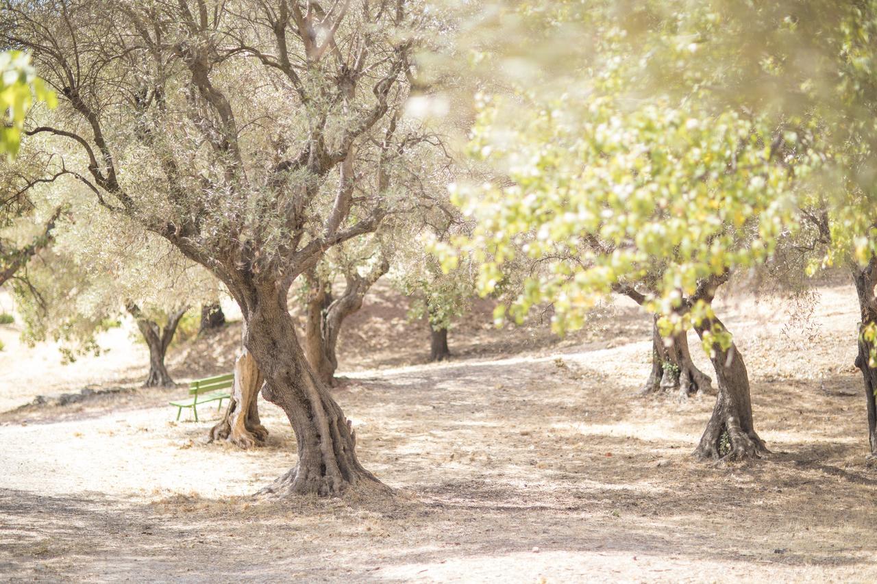 Domaine Des Gueules Cassees Otel La Valette-du-Var Dış mekan fotoğraf